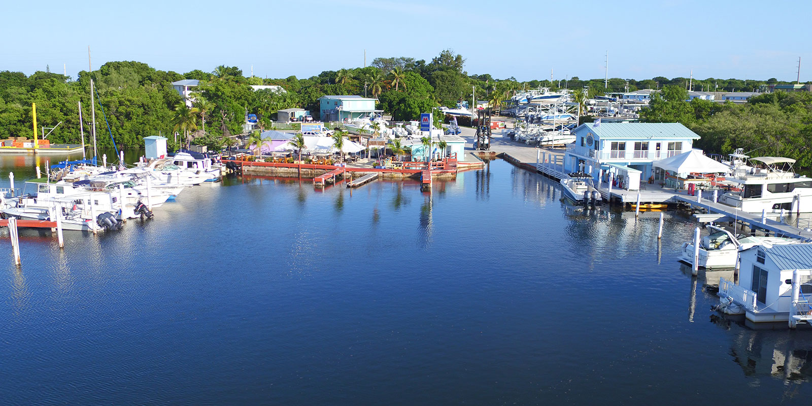 Aerial view of Mangrove Marina, showcasing its docks, boats, and waterfront facilities.
