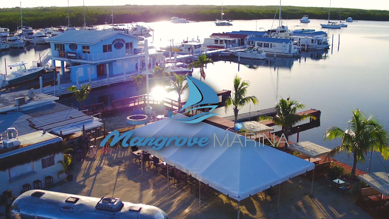 Mangrove Marina