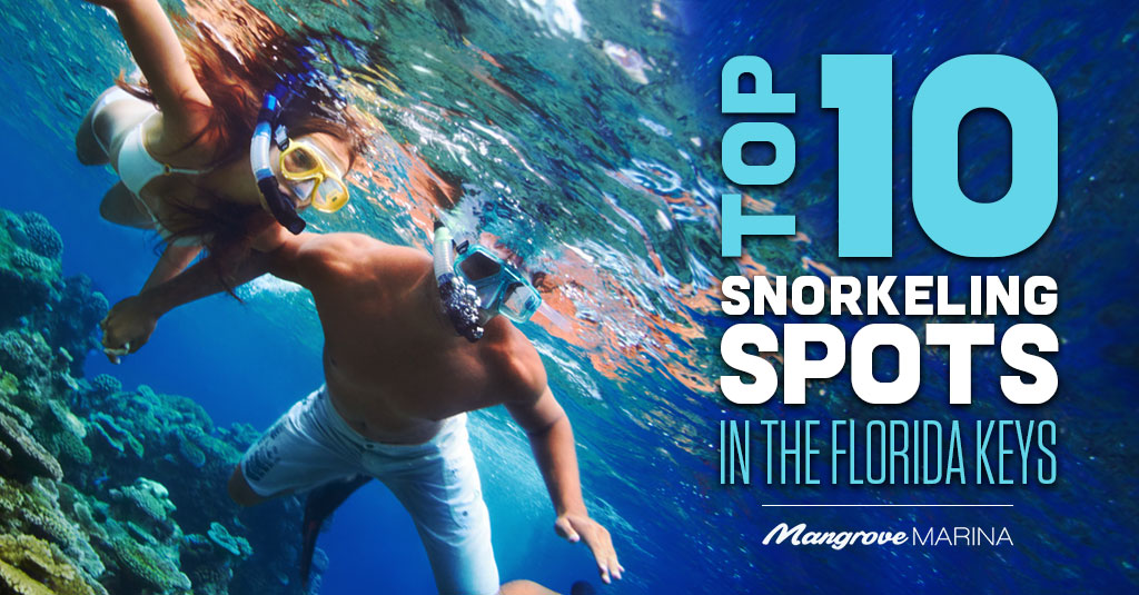 Top 10 Snorkeling Spots in the Florida Keys