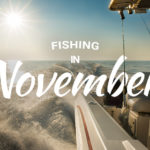 Fishing in november