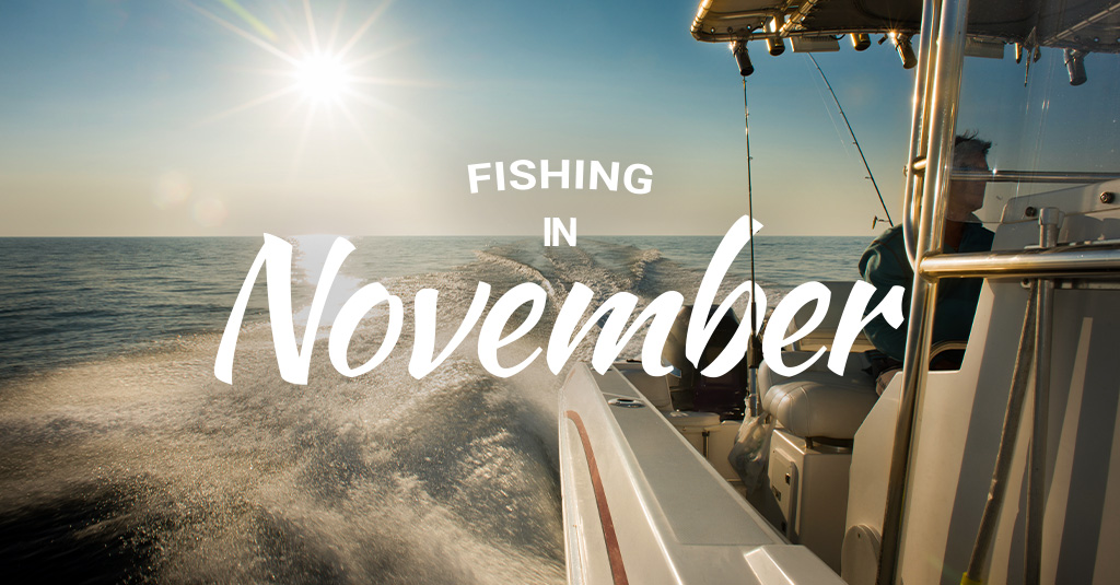Fishing in november
