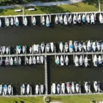An aerial view of a large, densely packed marina filled with numerous docked boats, providing a visual context for discussing how many houseboats are on Florida Keys.