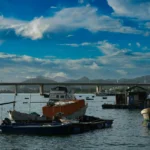 Various boats, including a large fishing vessel and a floating platform, anchored in a busy harbor with a bridge and mountains in the background, a setting that can influence do houseboats rock a lot.