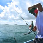 fishing tournaments in mangrive marina
