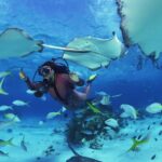 snorkeling in Florida Keys, ocean, fishies around, diving