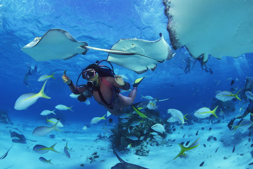 snorkeling in Florida Keys, ocean, fishies around, diving