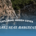 Exploring the Florida Keys’ Hidden Coves in Mangrove Marina, Florida Keys' hidden coves