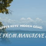 Upper Keys’ Hidden Gems: A Guide from Mangrove Marina, Upper Keys' hidden gems