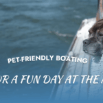 Enjoy safe and fun pet-friendly boating at Mangrove Marina with these expert tips for comfort, safety, and marina rules.