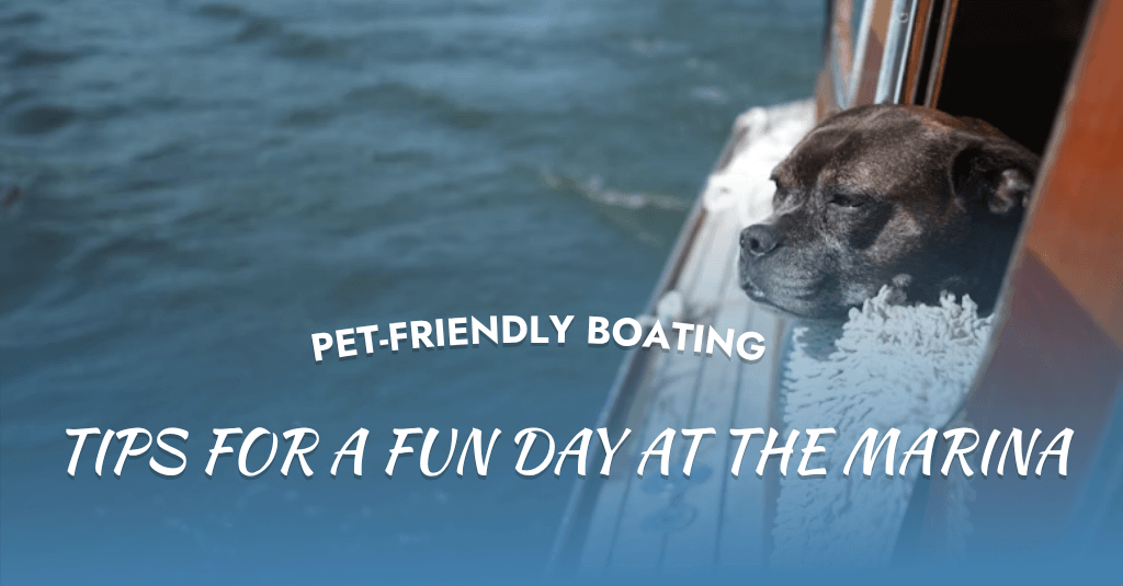 Enjoy safe and fun pet-friendly boating at Mangrove Marina with these expert tips for comfort, safety, and marina rules.