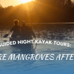 Experience unforgettable moments on night kayak tours Florida Keys, paddling under moonlight through peaceful mangrove tunnels.