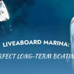 Experience life at Mangrove Marina, the premier liveaboard marina in the Florida Keys, with comfort, community, and long-term dockage.