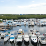 mangrove marina tavernier fl