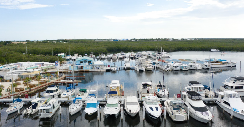 mangrove marina tavernier fl