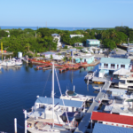 Aerial view of Mangrove Marina boat slips in Tavernier FL