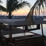 Marinas in tavernier fl
